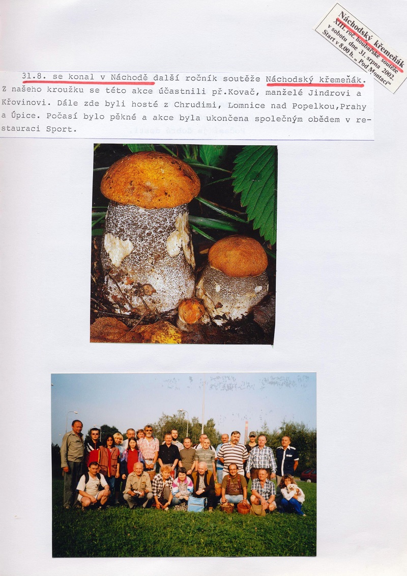 Obrázek (12)
