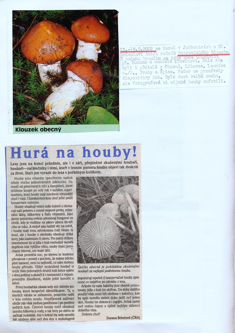Obrázek (13)