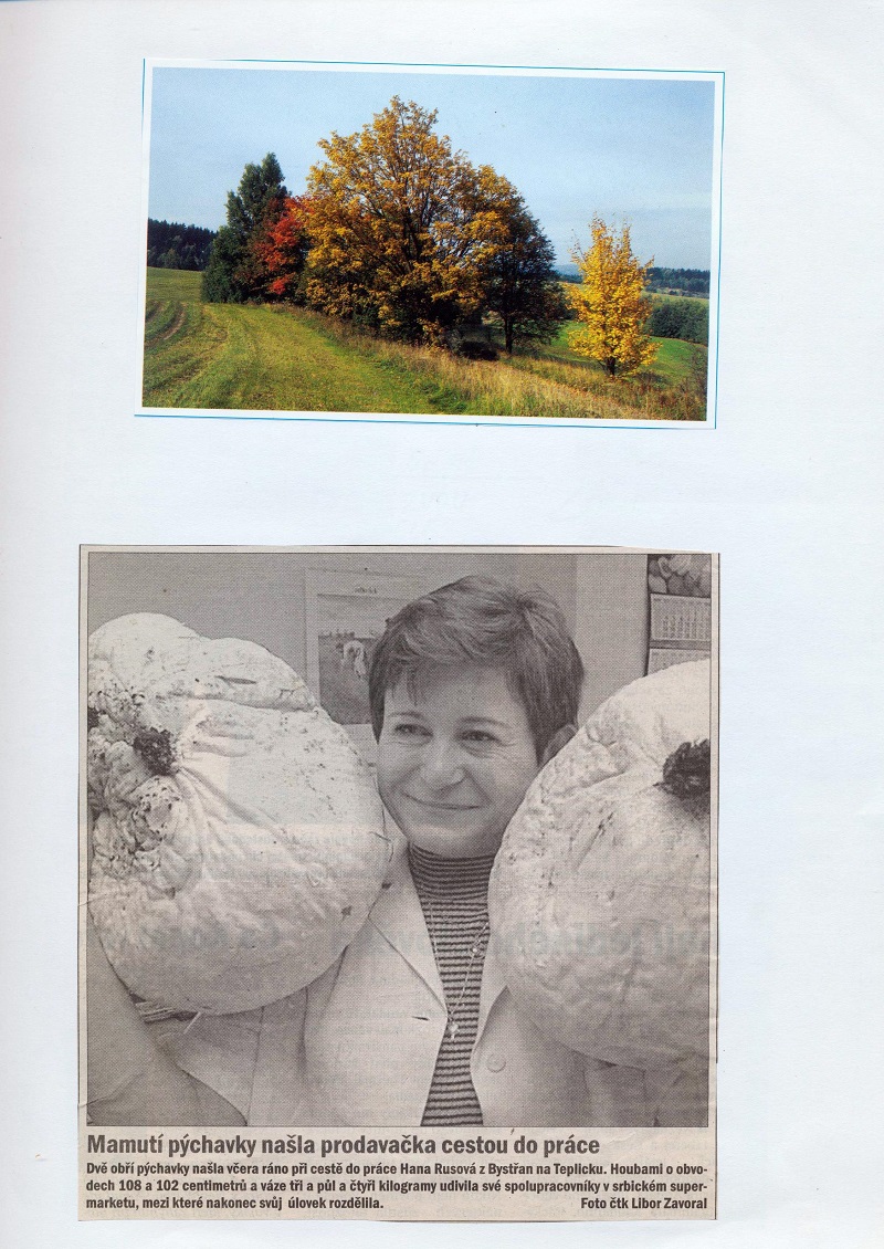 Obrázek (14)