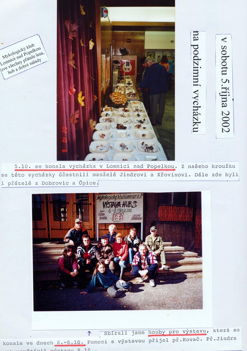 Obrázek (17)