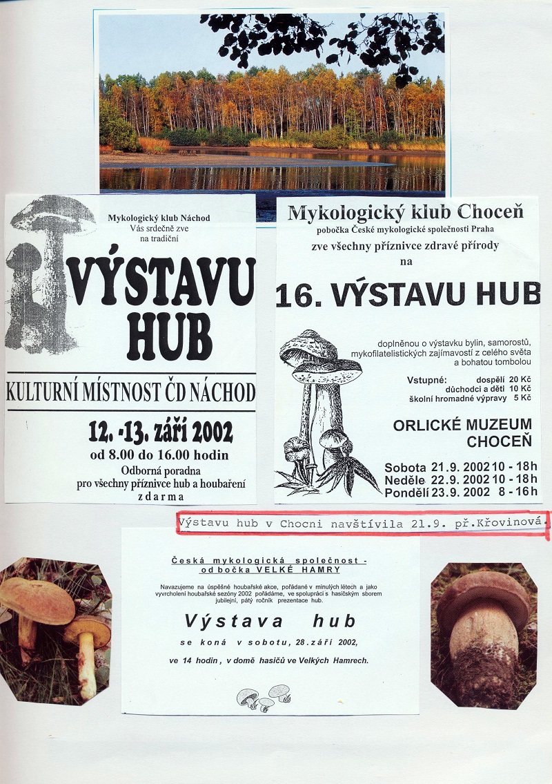 Obrázek (18)