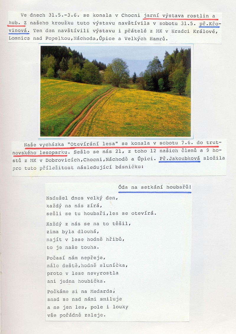 Obrázek (7)