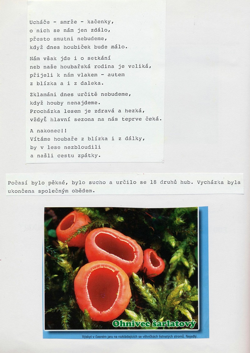 Obrázek (8)