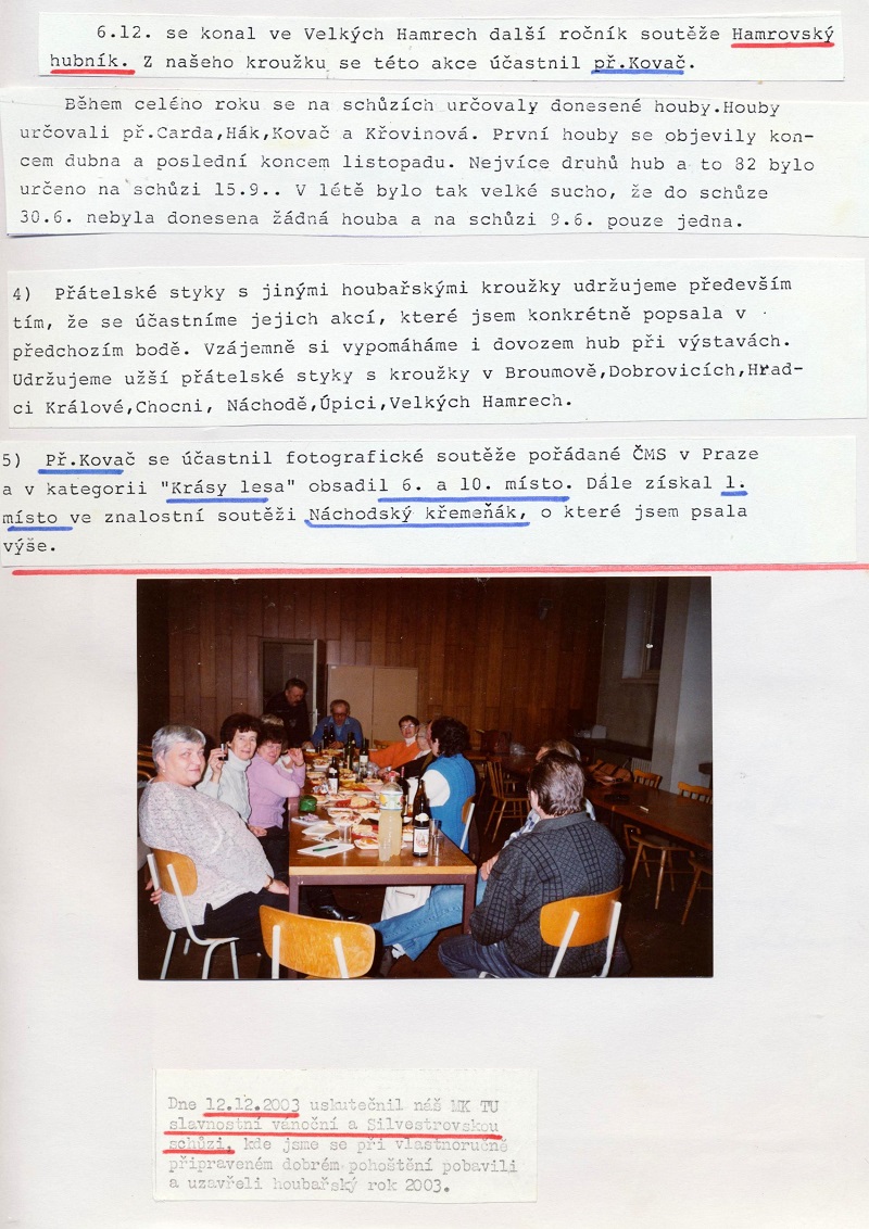 Obrázek (17)