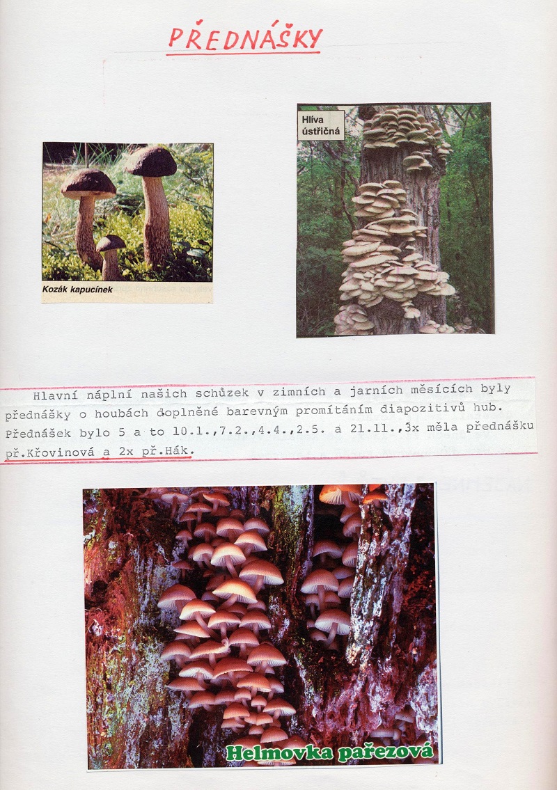 Obrázek (6)
