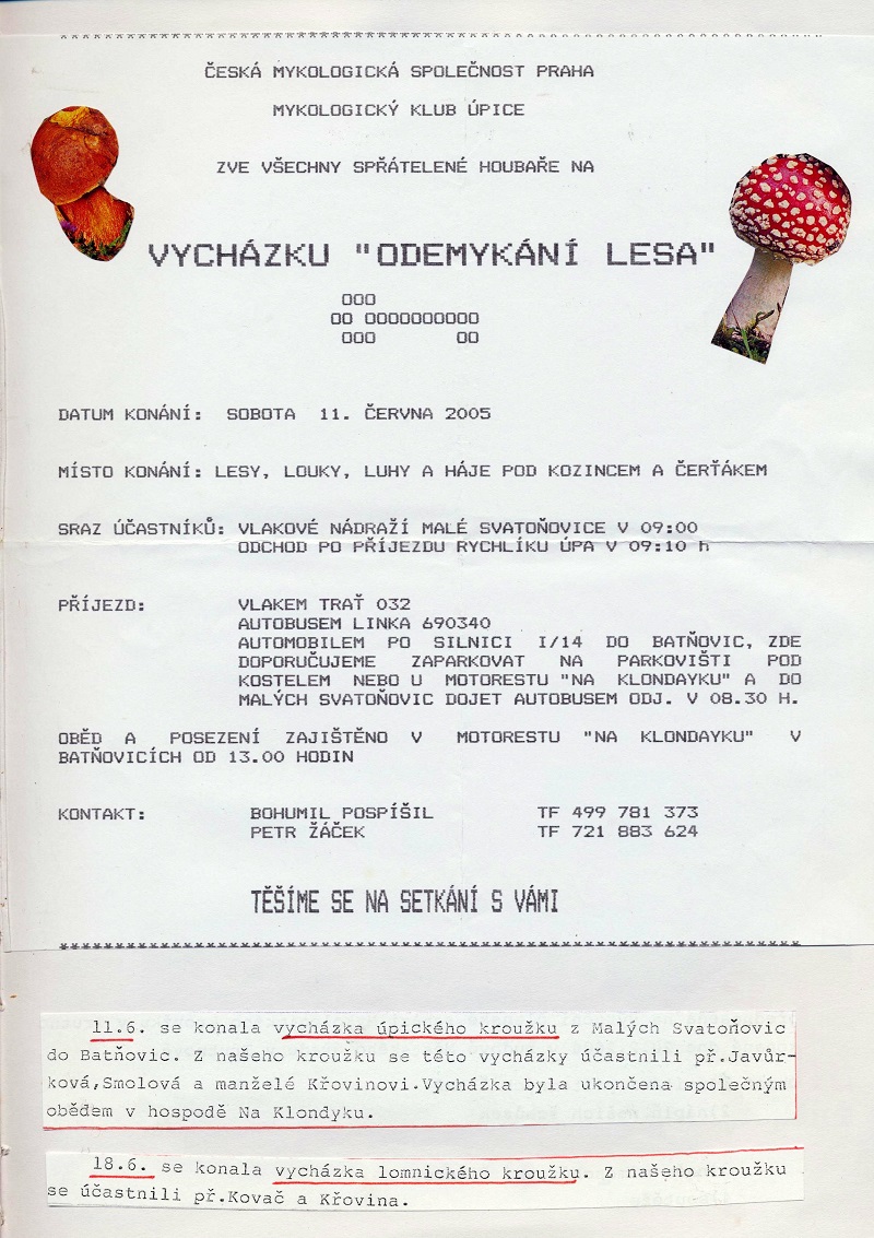 Obrázek (9)