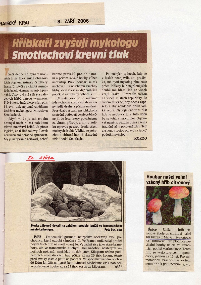 Obrázek (11)