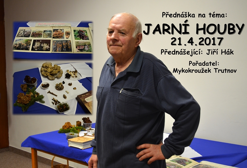 jarní houby