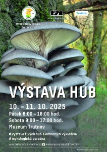 135_trutnov_vystava_hub_2025.jpg